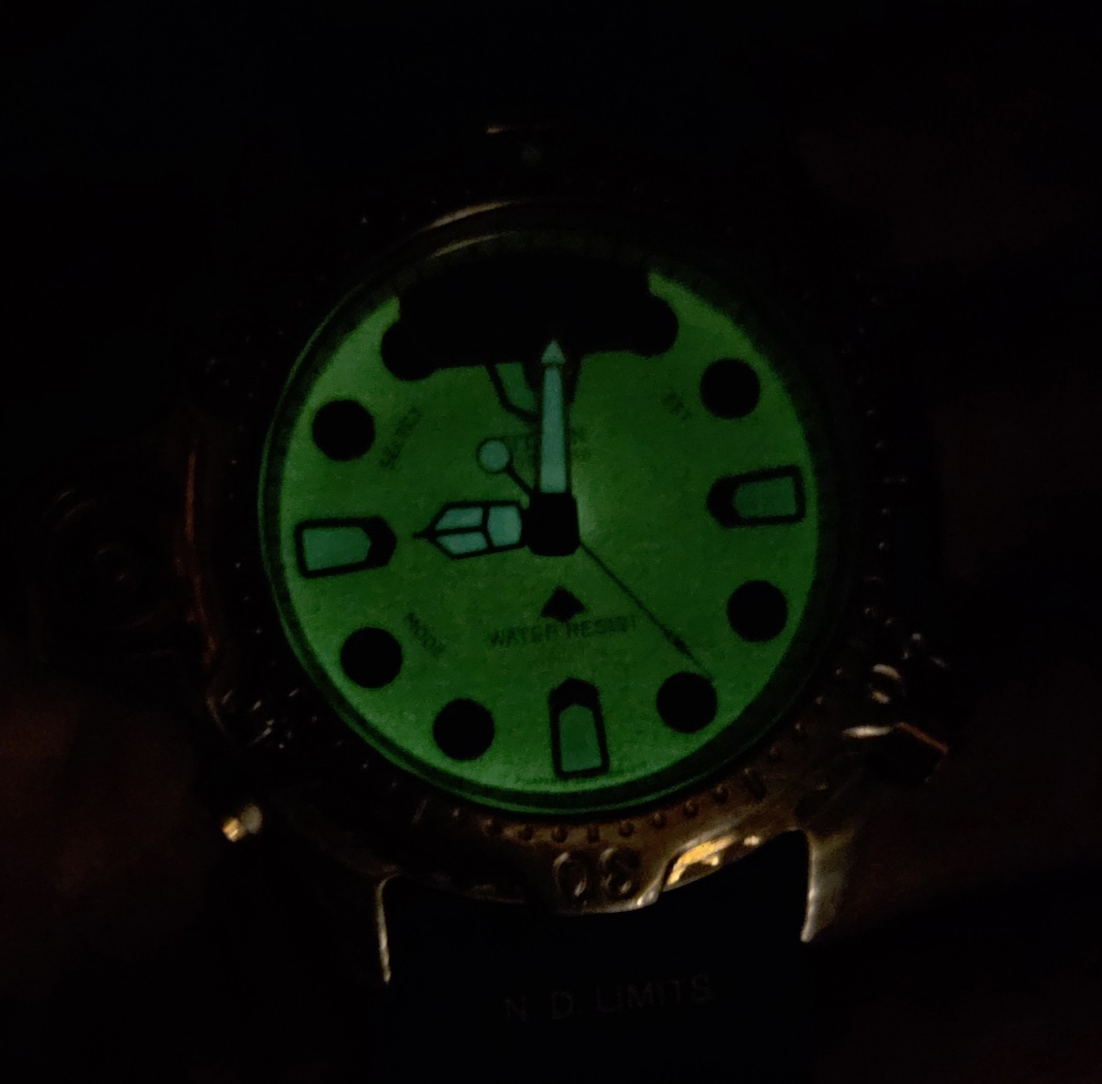 Citizen Promaster Aqualand Vintage Two Toned Men’s C023-089405 Full Lume Dial