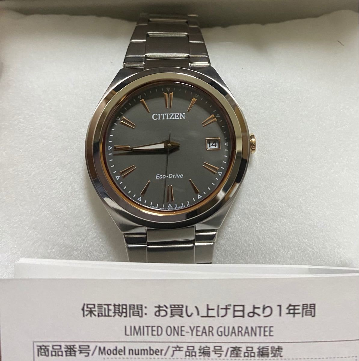 Eco Drive Citizen Men’s Women’s Unisex Watch FE6026 50H