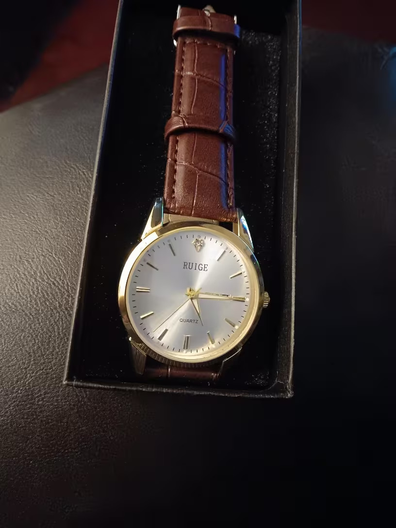 RUIGE Men’s Gold Quartz Watch Silver Dial Brown Leather Business Casual Date/Day
