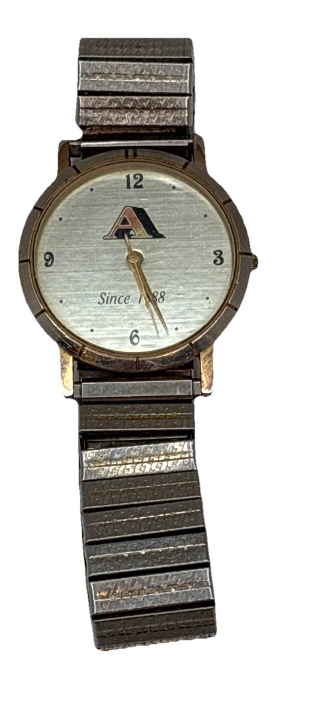 Mens Image Watch Inc. California Gold Tone Stretch Band Analog Watch A