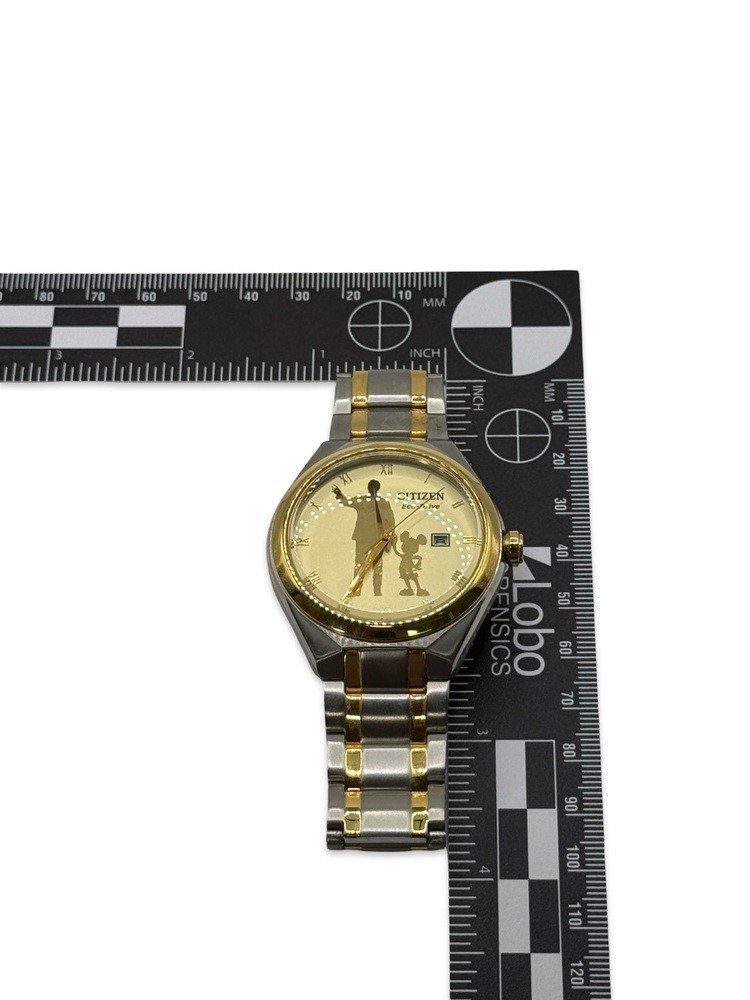 Citizen Disney Parks Collection Eco-Drive Watch – Model J810-S120551