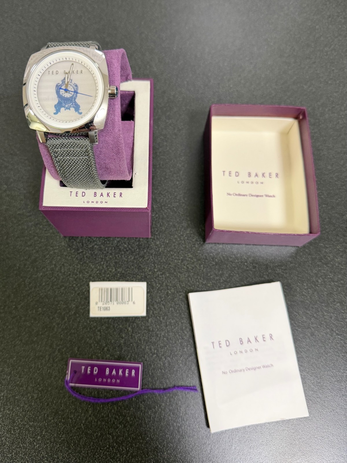 Ted Baker Men’s TE1063 Hologram Watch – Silver Case, Gray Band