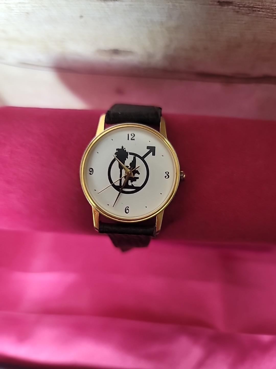 Vintage Image Watches Inc. California Works Palm Tree And Boy Symbol Image