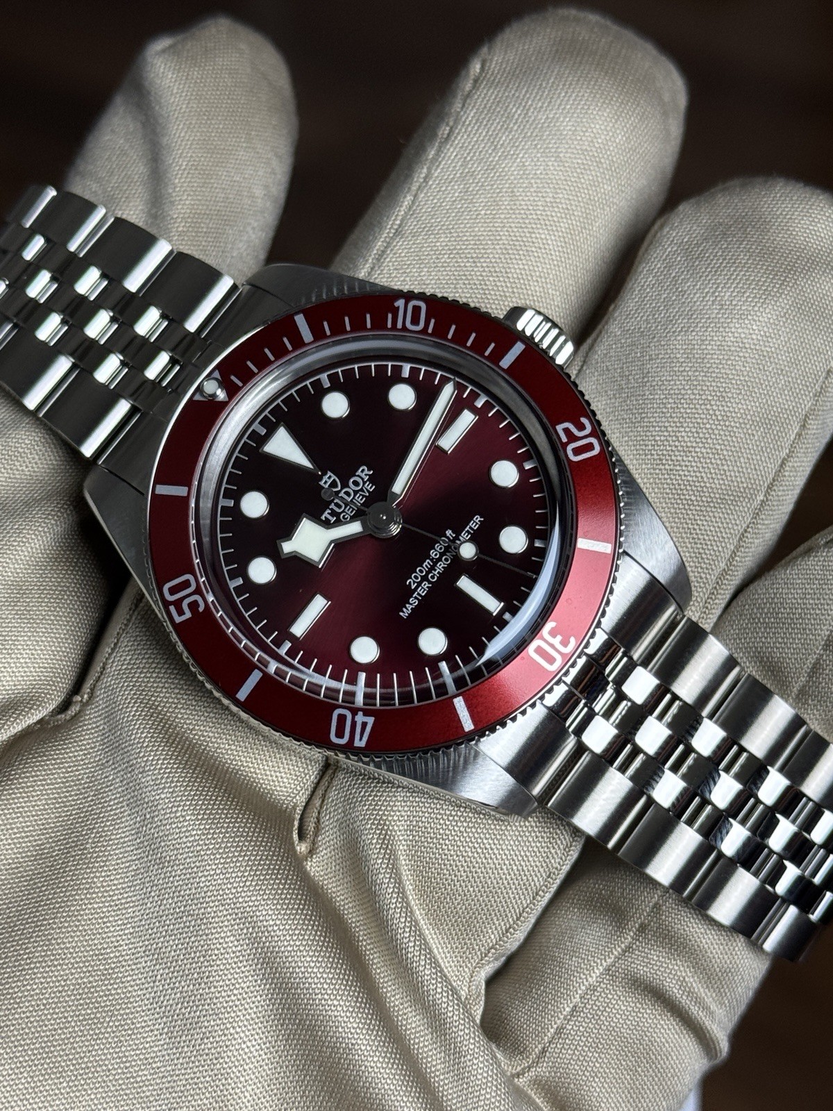 2026 Tudor Black Bay 58 Burgundy 39mm 5-Link Red M7939A1A0RU-0001