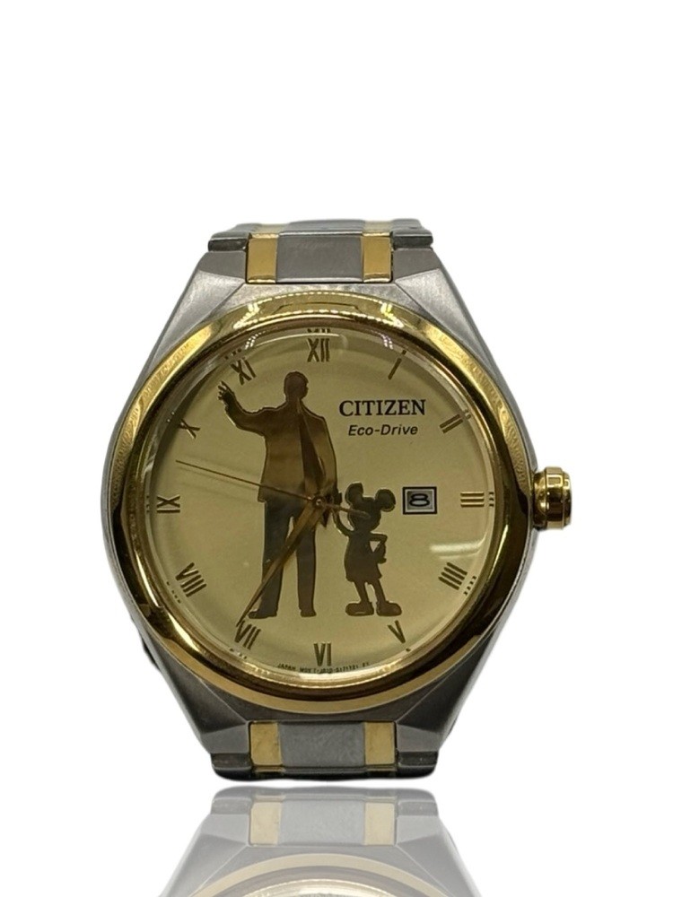 Citizen Disney Parks Collection Eco-Drive Watch – Model J810-S120551