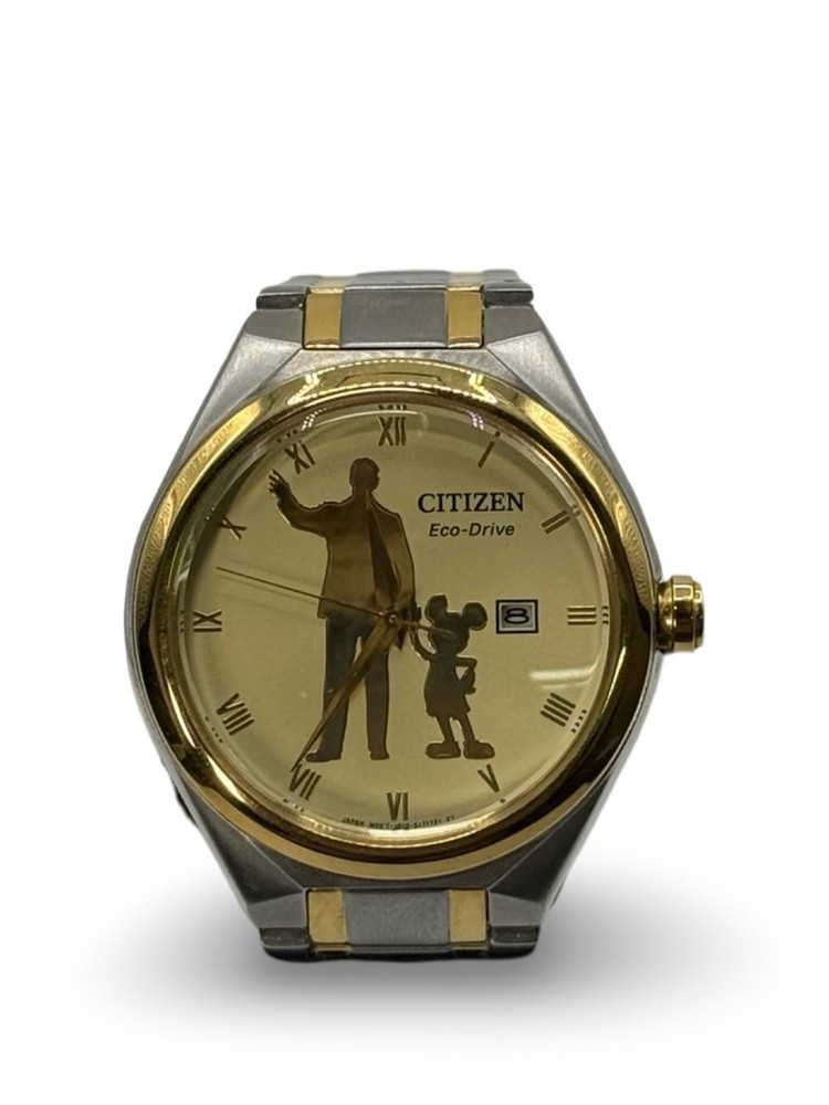 Citizen Disney Parks Collection Eco-Drive Watch – Model J810-S120551