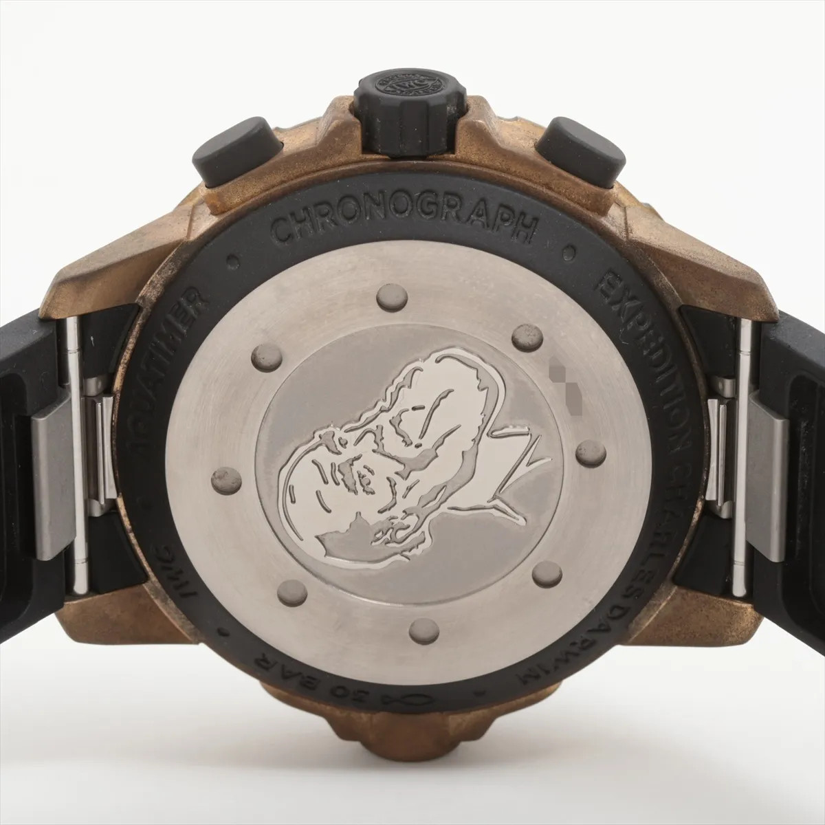 IWC Aquatimer Chronograph Expedition Charles Darwin IW379503 TI x bronze Rubber