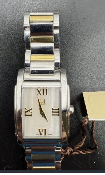ESQ By MOVADO Swiss Two Tone Stainless Steel Kingston Watch – EUC