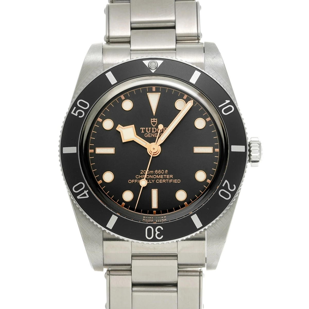 TUDOR Black Bay 54 79000N(79000): SW21873