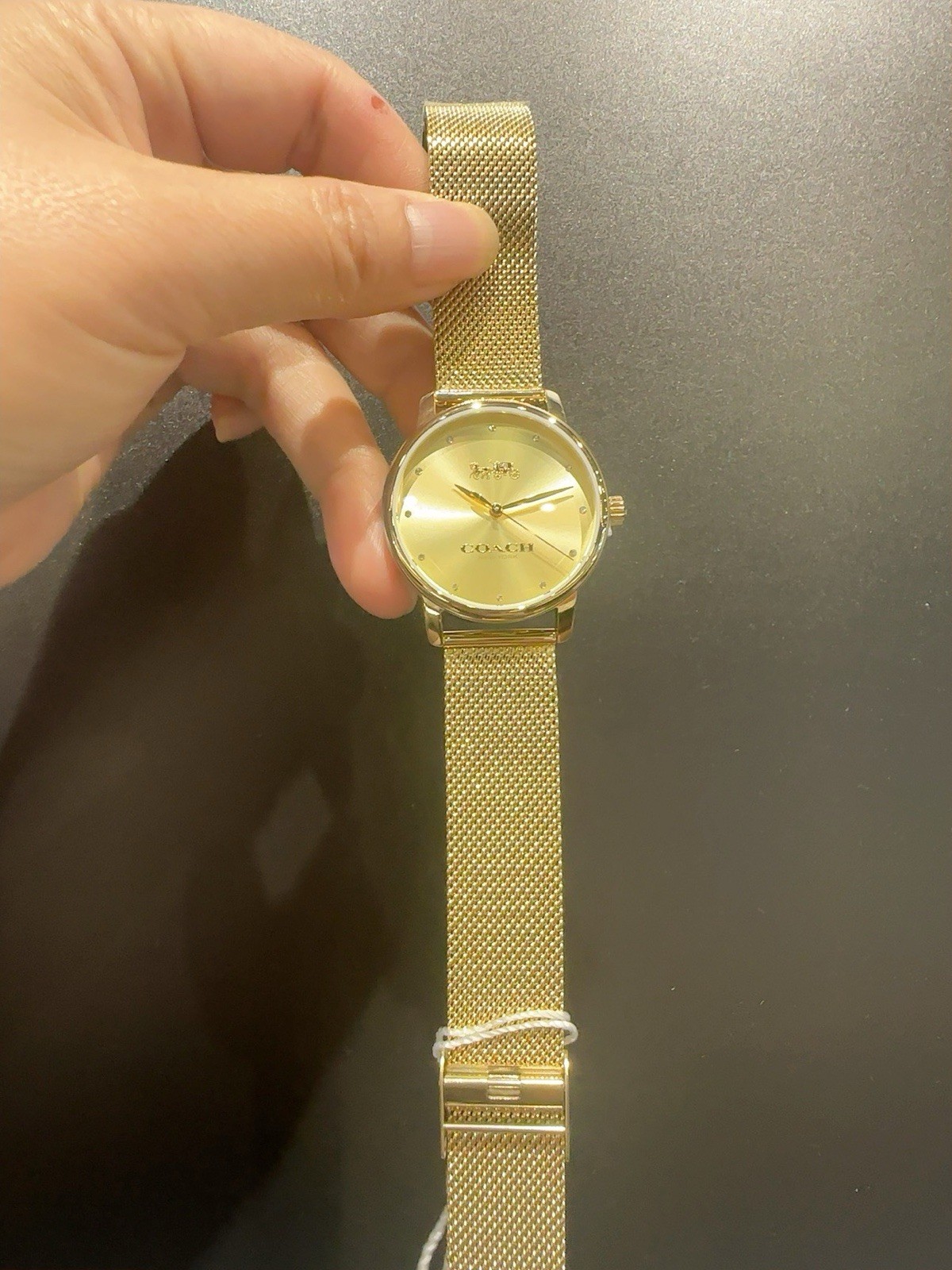 COACH Grand Women’s Watch, 36mm 14504431 Gold Mesh