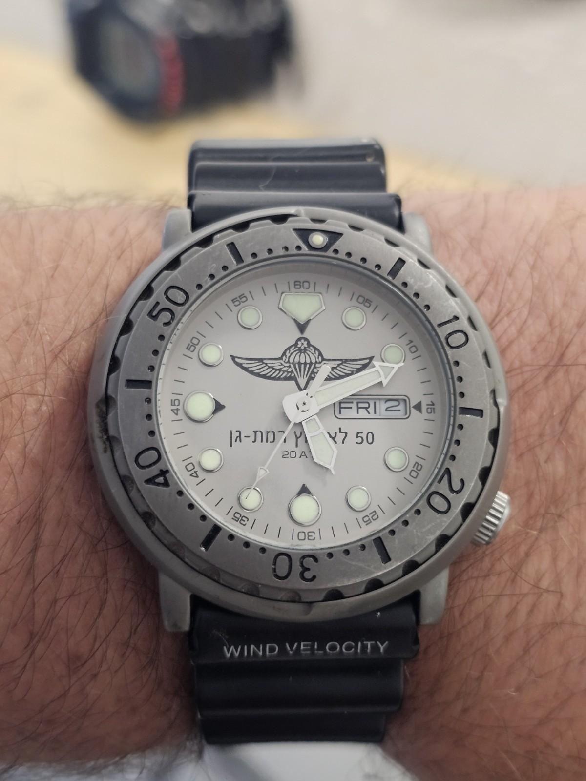 ADI 221 Diver 200M Israel IDF Paratroopers Brigade Quartz Military Watch