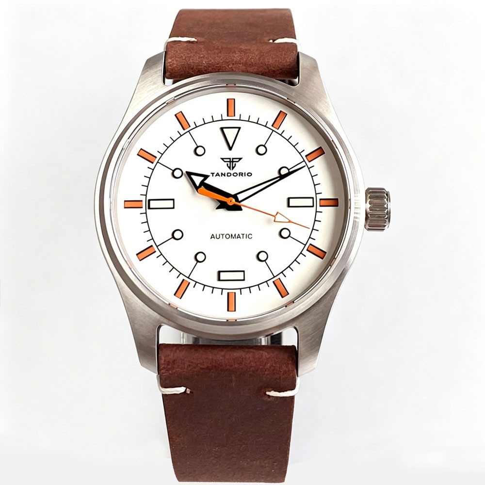 Stainless Steel 200M Diver 39mm Japan NH35A Lume Sapphire Men Automatic Watch