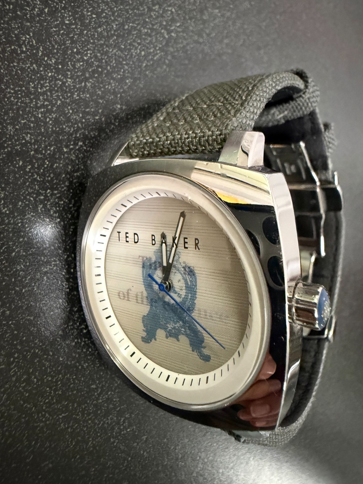 Ted Baker Men’s TE1063 Hologram Watch – Silver Case, Gray Band