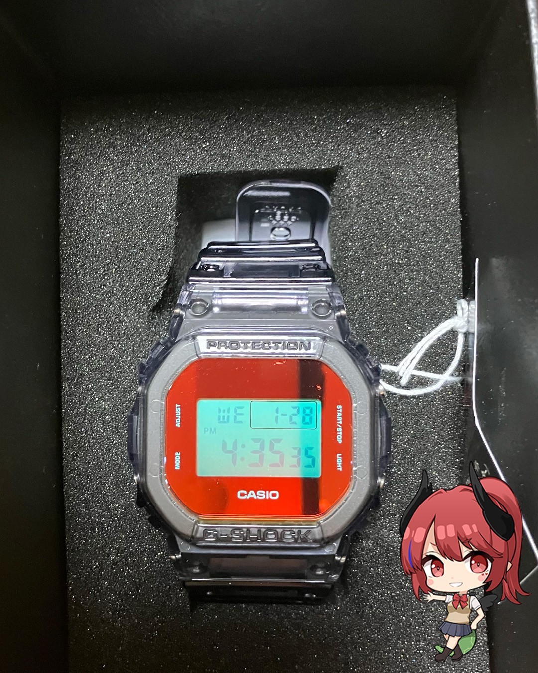 ［UW7］Brand new[CASIO] G-SHOCK Watch 【Domestic Authentic Product】DW-5600-TLS-8JF
