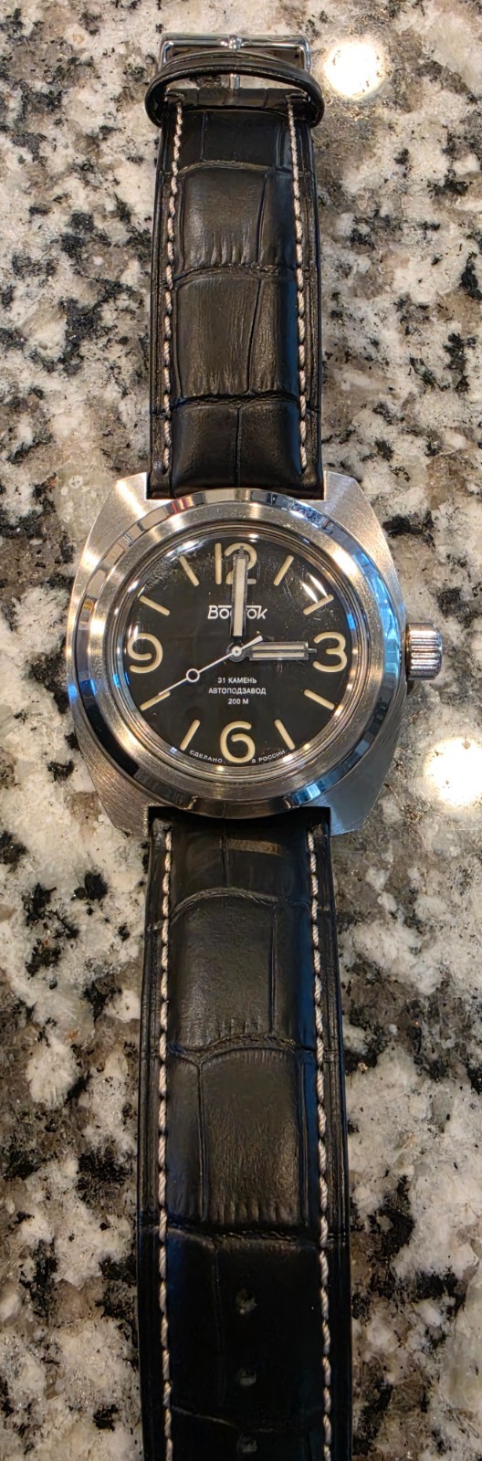 Vostok Amphibia Pamphibia 170548
