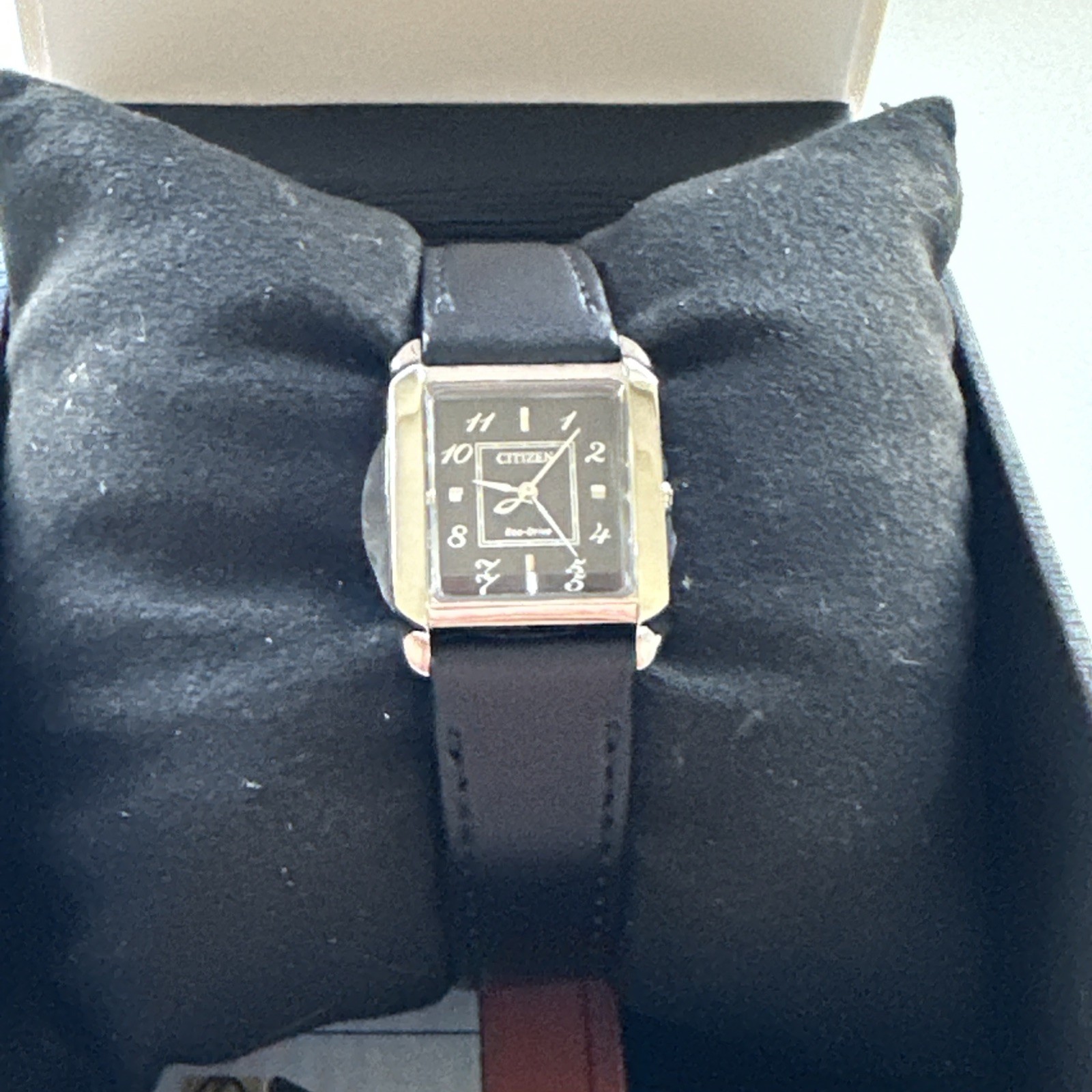Citizen L Bianca Women’s Classic Eco-Drive Black Leather Watch 22 MM EW5600-01E