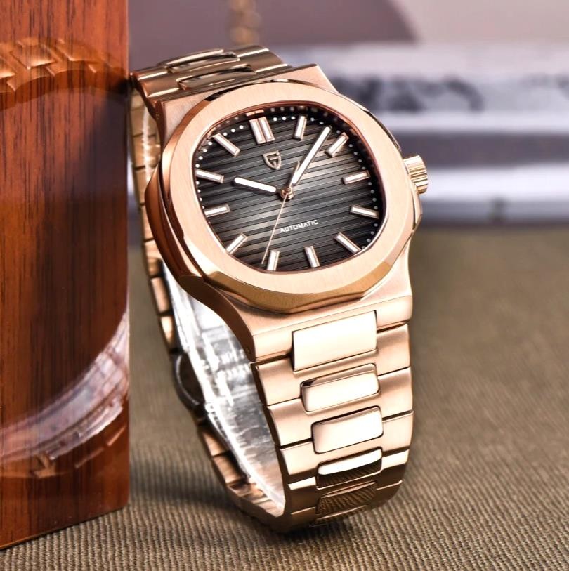 44MM PAGANI DESIGN Automatic Men’s Watch 100M Waterproof Diver Stainless NEW