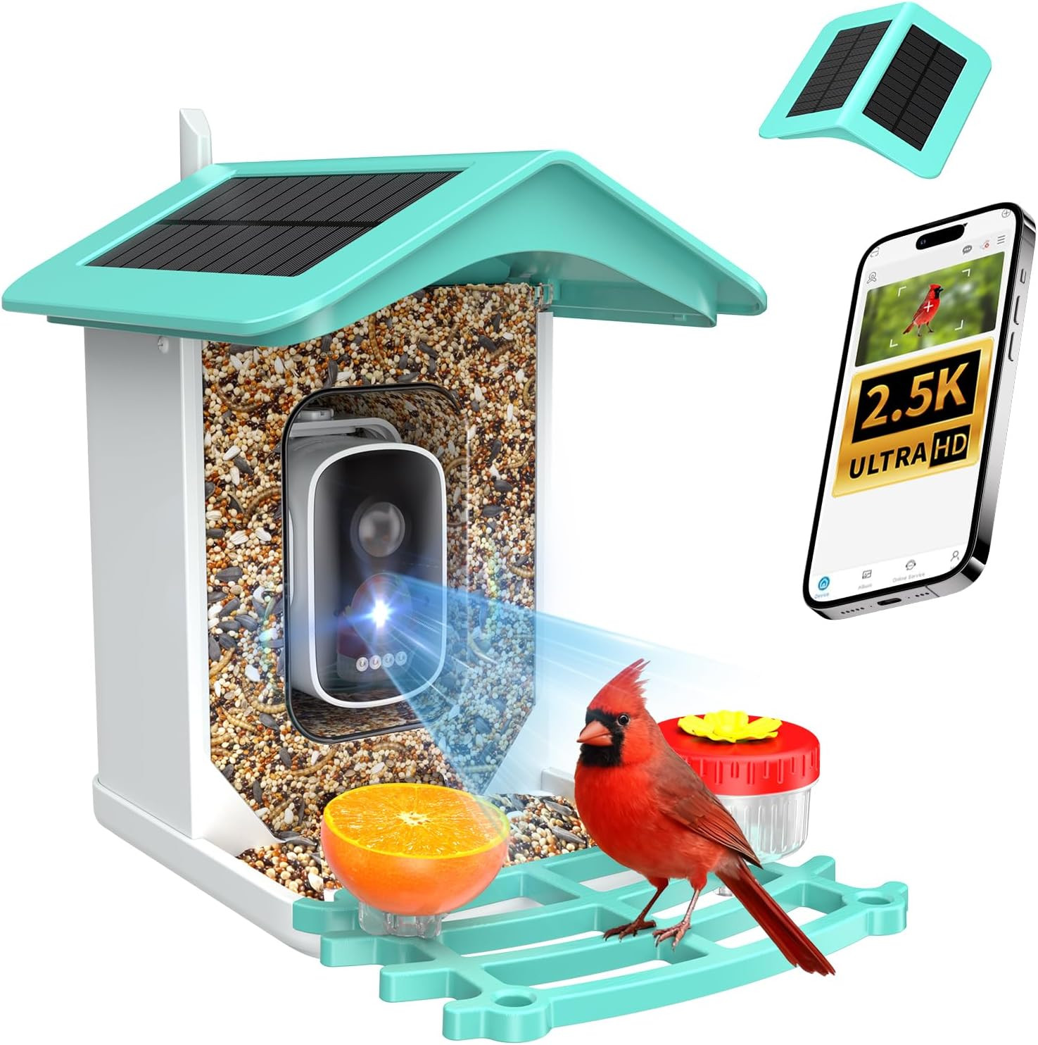 Smart Bird Feeder with Camera, AI Identifies 16,000+ Birds, Solar Powered, 2.5K