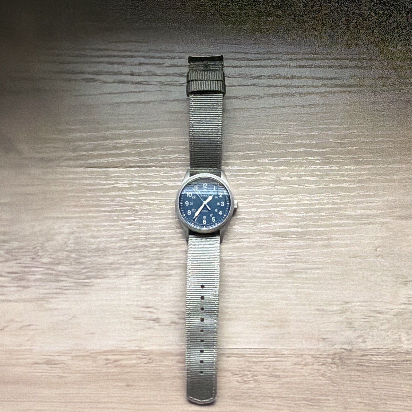 Timex Expedition North Mechanical 100m Blue 24-Hour Dial Gray Nylon Strap