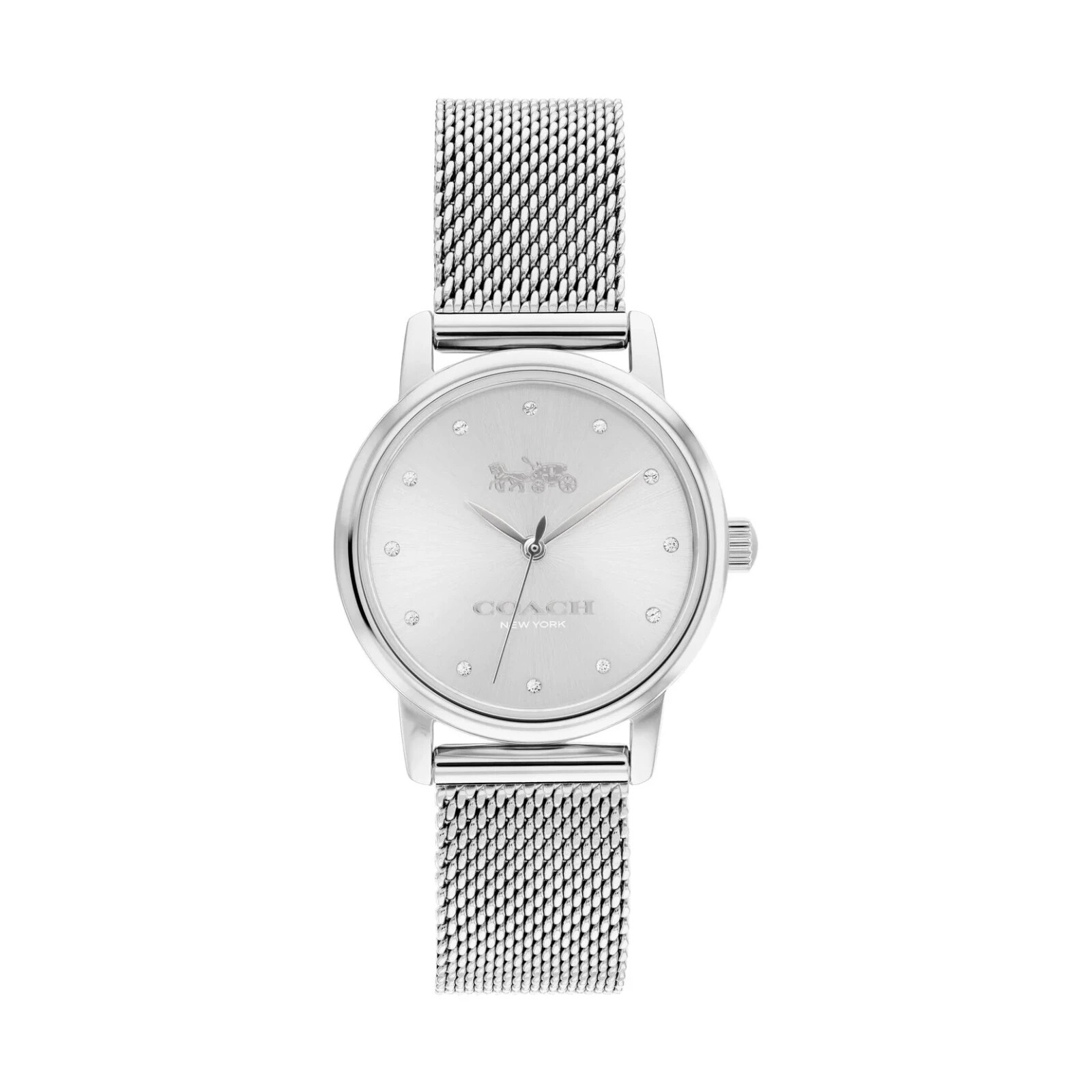 Coach Grand Silver Stainless Steel Mesh Band Silver Glitz Dial Watch 14503743