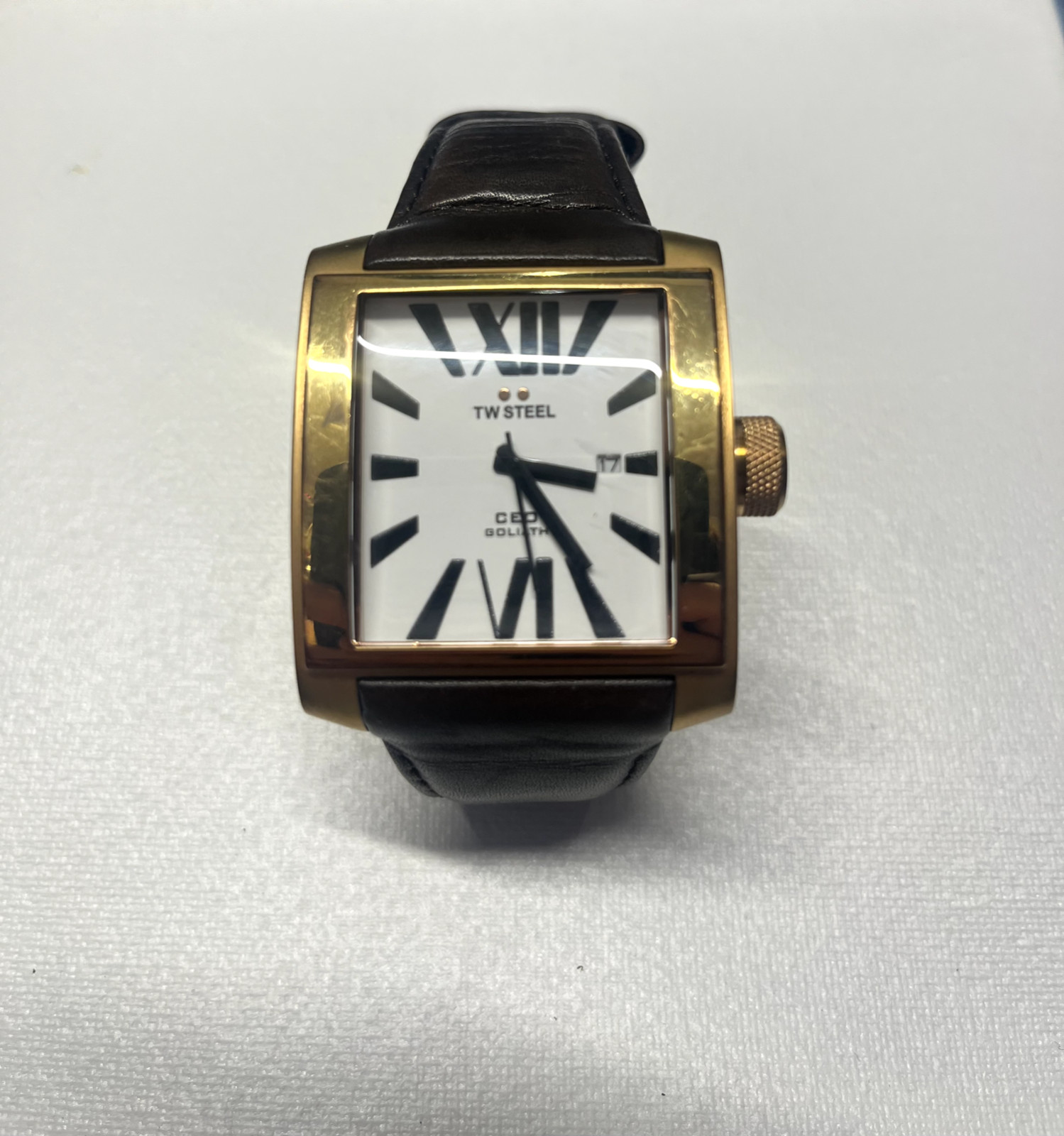 tw steel watch men gold brown leather 3ATM Water resistant, stainless steel