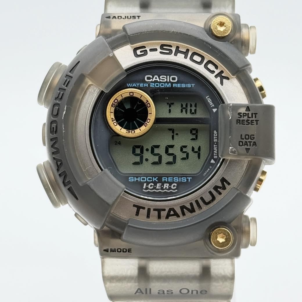 Casio G-Shock Frogman DW-8200K 1996 ICERC Watch
