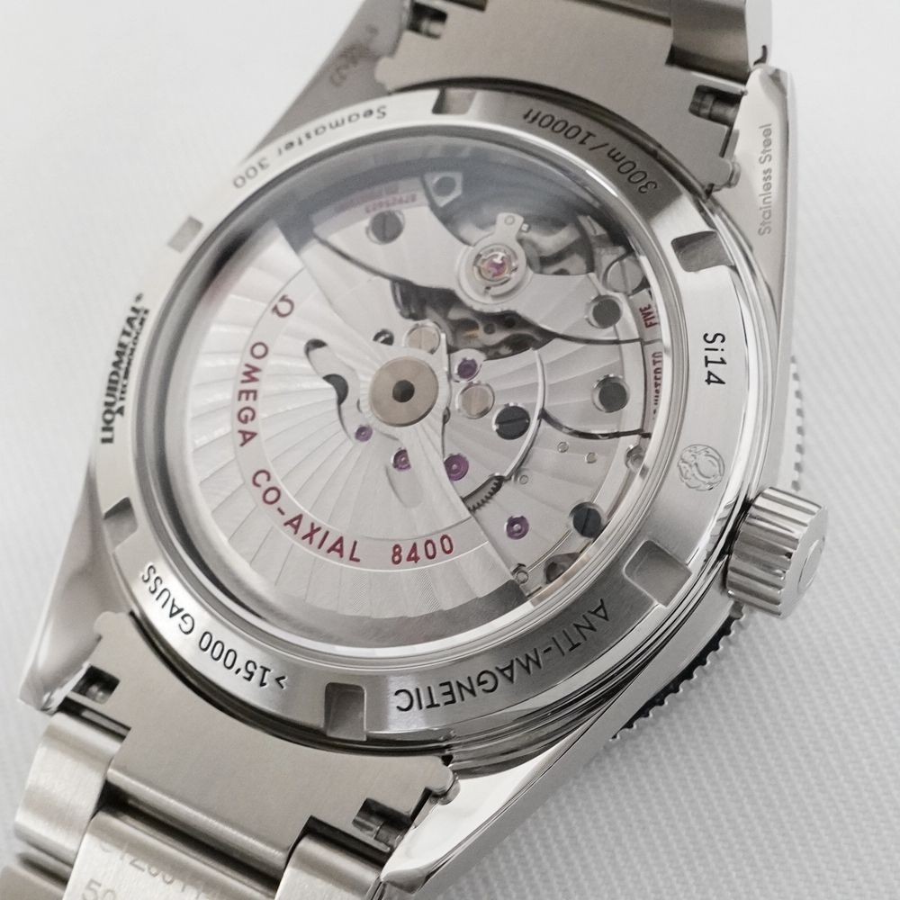 Omega Seamaster 300 Master Co-Axial 41MM 233.30.41.21.01.001 Men’s Watch