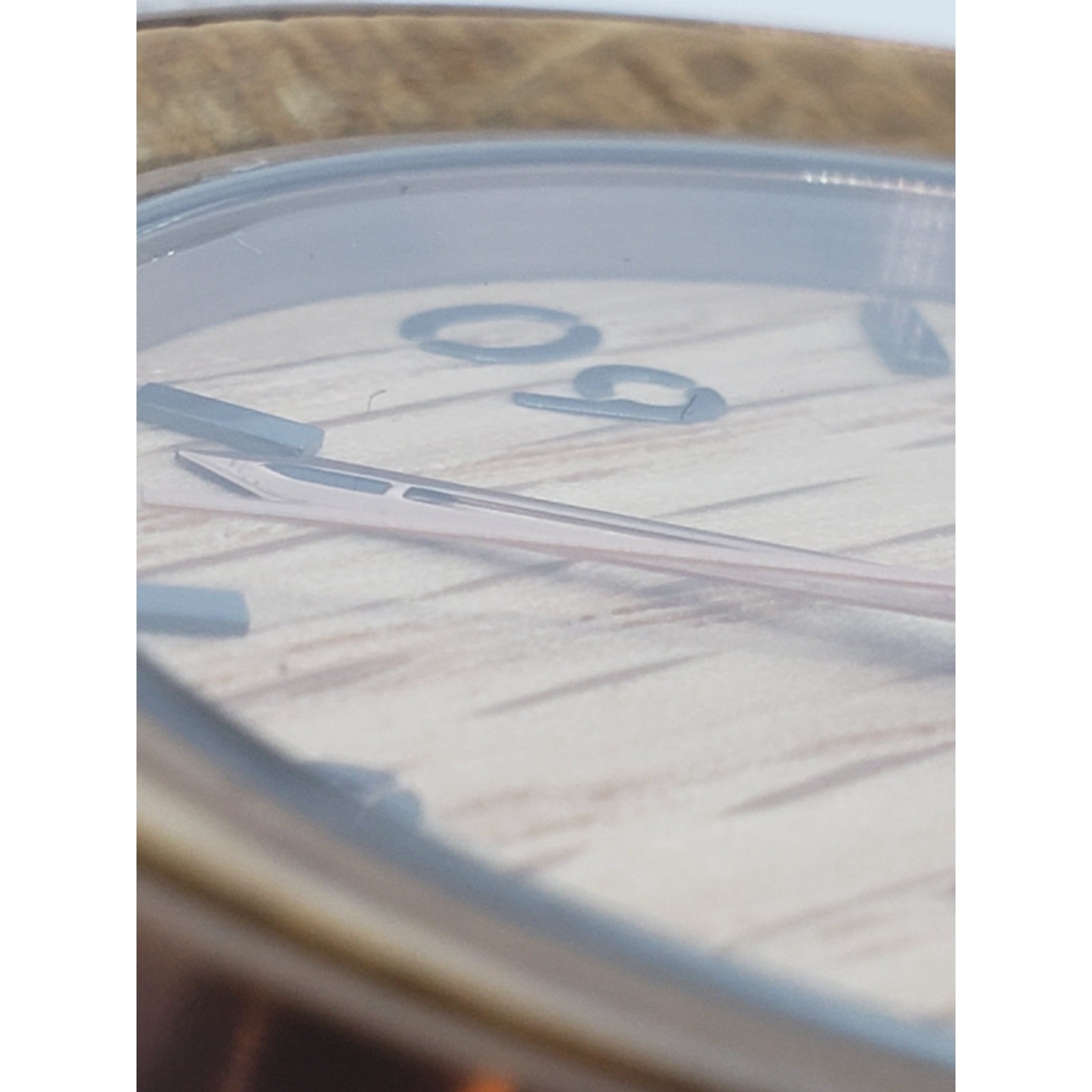 Original Grain Men’s Stainless Steel Wood Watch 47mm Barrel
