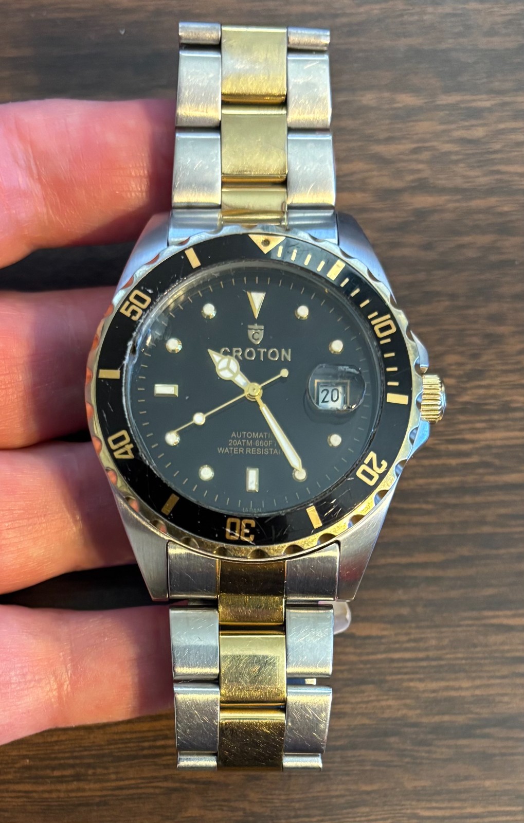 CROTON Automatic CR8315 Diver 20 ATM 660 FT Calendar 21 Jewels Keeps Time