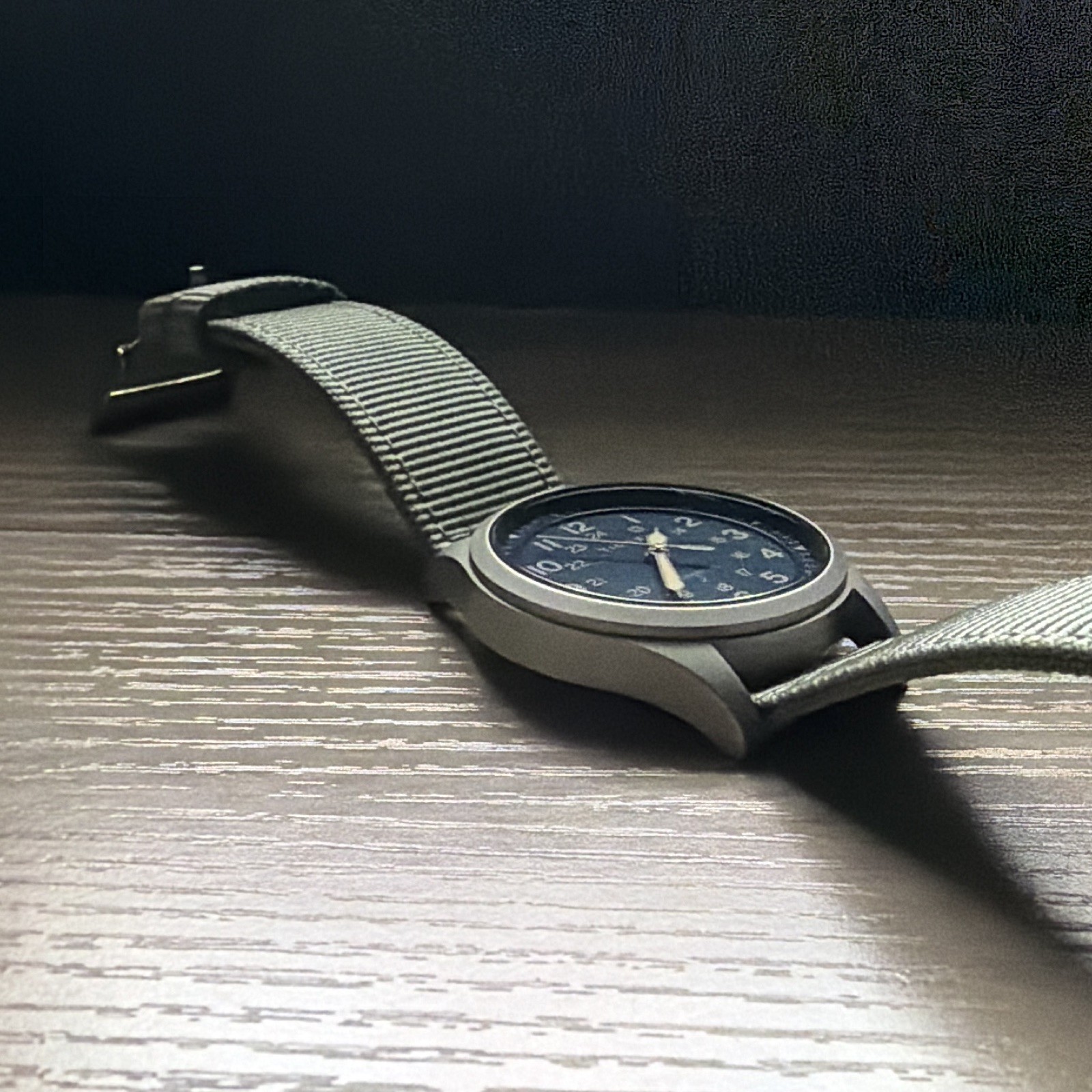 Timex Expedition North Mechanical 100m Blue 24-Hour Dial Gray Nylon Strap